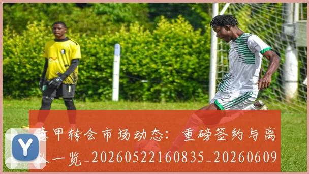 意甲转会市场动态：重磅签约与离队一览_20260522160835_20260609195817